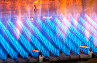 Edrom gas fired boilers